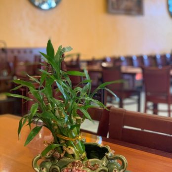Zara's Mediterranean Kitchen - Halal Near Me - Spring, Texas Zara's Mediterranean Kitchen - Halal Near Me - Spring, Texas
