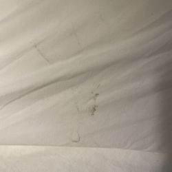 Staybridge Suites Eau Claire - Altoona - Dirty pillow