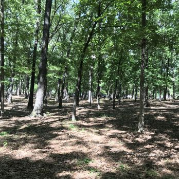 Friendship Park - Parks Near Me - Ridgeland, Mississippi Friendship Park - Parks Near Me - Ridgeland, Mississippi