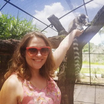 Giraffe Ranch - Feeding a lemur! - Ranches Near Me - Dade City, Florida Giraffe Ranch - Feeding a lemur! - Ranches Near Me - Dade City, Florida