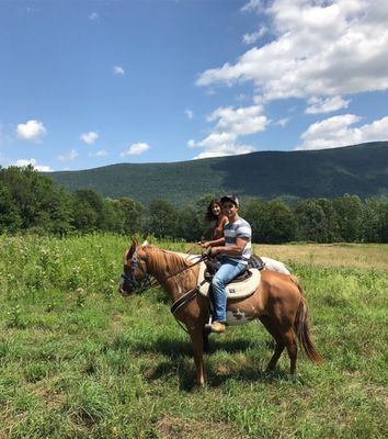 Mountain View Ranch by null