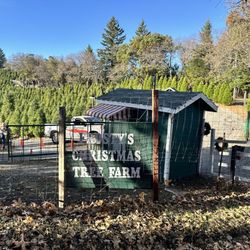 Frosty's Christmas Tree Farm - Check in / Check out
