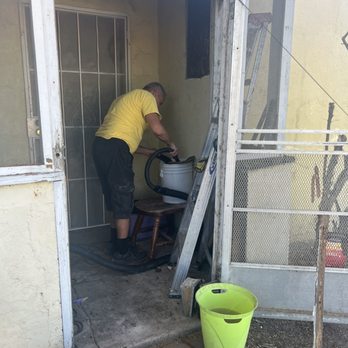 Dan the Honeyman - Dan doing his thing - Pest Control Near Me
