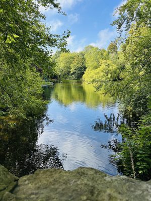 St Stephen's Green by null