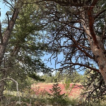 Eldorado Canyon State Park - Parks Near Me - Eldorado Springs, Colorado