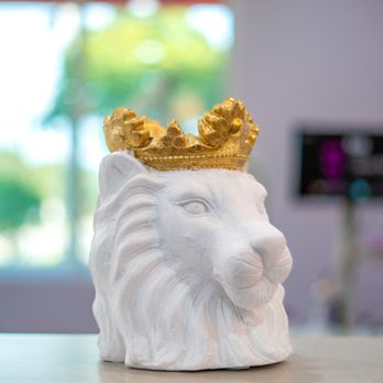 Imagine Orthodontic Studio - Orthodontists Near Me - Largo, Florida Imagine Orthodontic Studio - Orthodontists Near Me - Largo, Florida