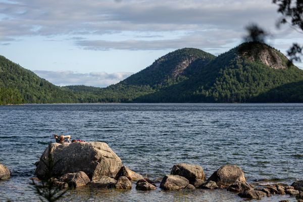 Acadia National Park by null