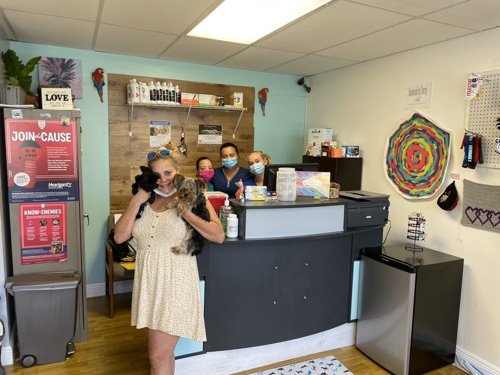 SOFLO ANIMAL RESCUE Image