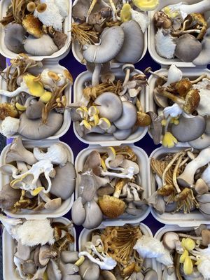 City Park Farmers Market by null