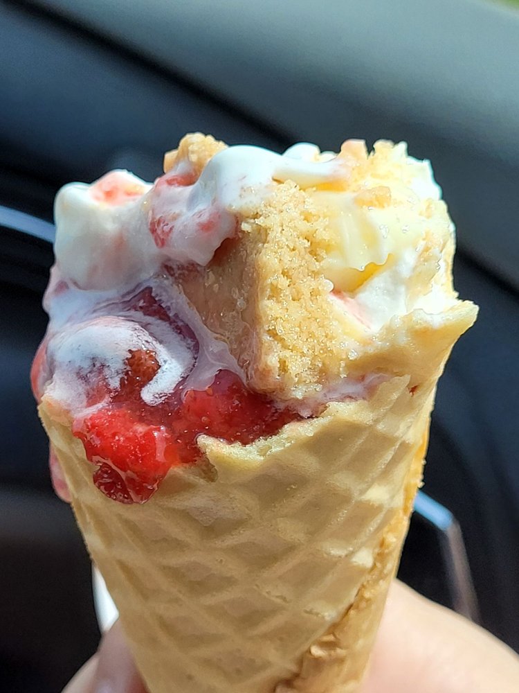 THE FAT DONKEY ICE CREAM & FINE DESSERTS Updated September 2024