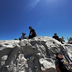 Blue Goose Park - Climbing area