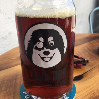 Nook - Red Ale - Bars Near Me - Santa Barbara, California Nook - Red Ale - Bars Near Me - Santa Barbara, California