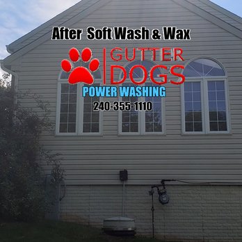 Gutterdogs - Pressure Washers Near Me Gutterdogs - Pressure Washers Near Me
