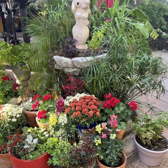 El Encanto - Lovely flowers - Mexican Near Me - Cave Creek, Arizona El Encanto - Lovely flowers - Mexican Near Me - Cave Creek, Arizona
