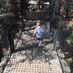 Wilderness Explorer Camp