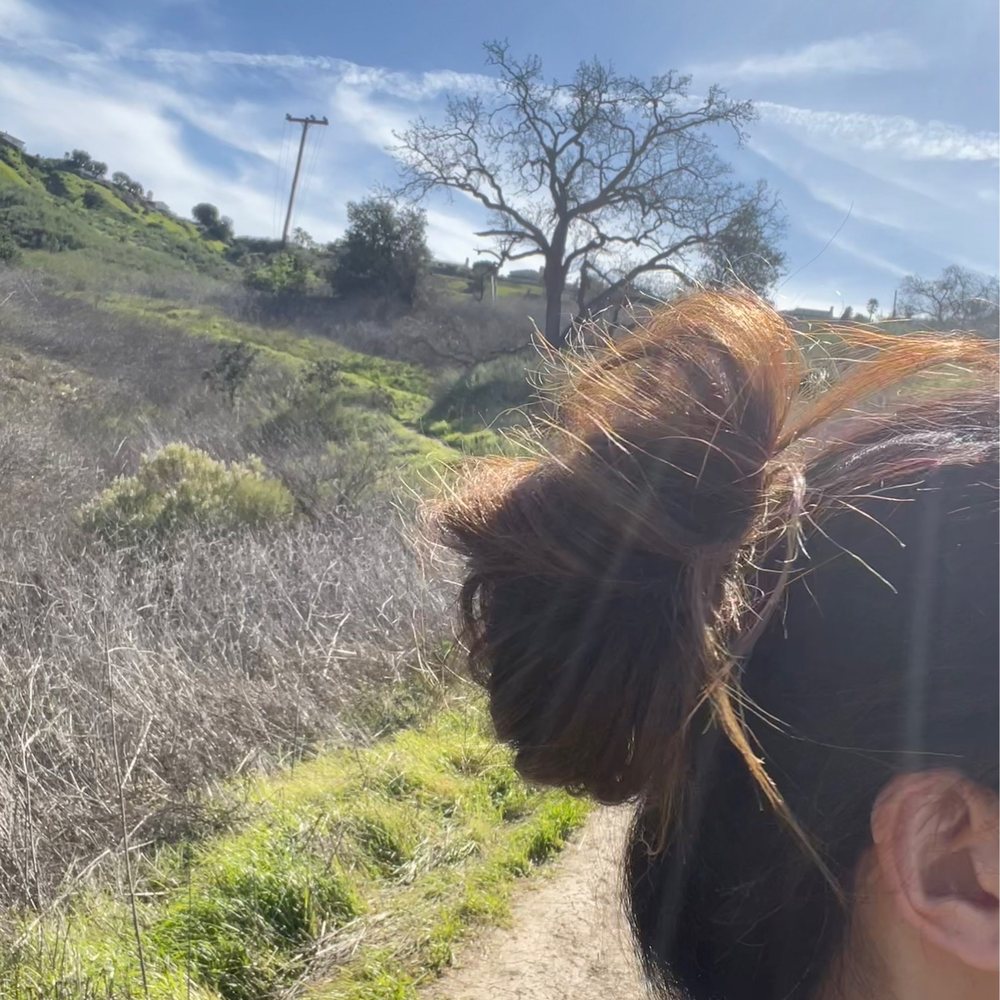 Calabasas Hidden Stairs - Hiking Near Me Calabasas Hidden Stairs - Hiking Near Me