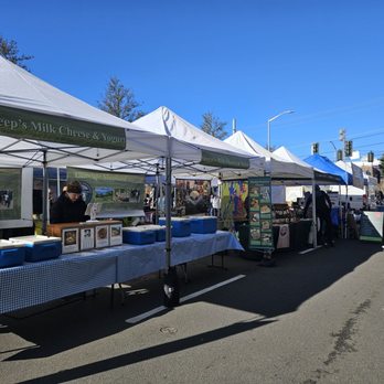 West Seattle Farmers Market - View of stands - Farmers Market Near Me - Seattle, Washington West Seattle Farmers Market - View of stands - Farmers Market Near Me - Seattle, Washington