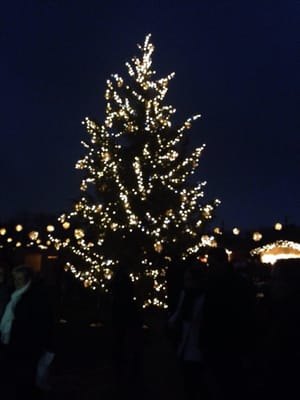 Schloss Benrath by null