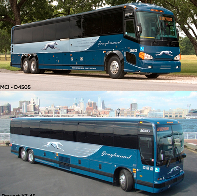 Greyhound Shop by null