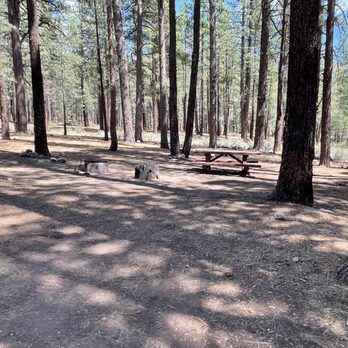 Boca Reservoir - Our campsite, #7 - Campgrounds Near Me - Truckee, California