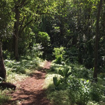 Hawaii Nature Center - Trail - Educational Services Near Me - Honolulu, Hawaii Hawaii Nature Center - Trail - Educational Services Near Me - Honolulu, Hawaii