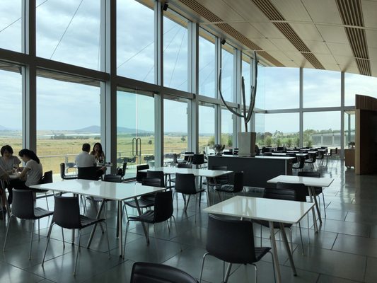 Yering Station Winery by null