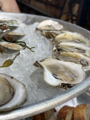 Tempest Oyster Bar by null