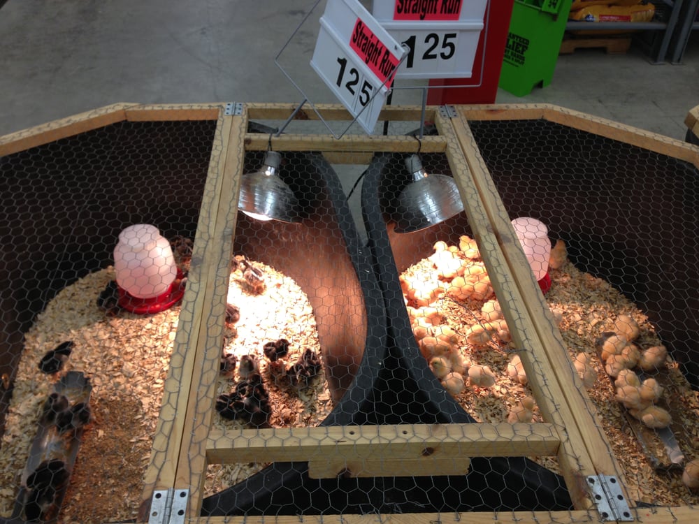 RURAL KING 13 Photos & 10 Reviews 913 W Marketview Dr, Champaign