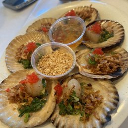 Clams Clams