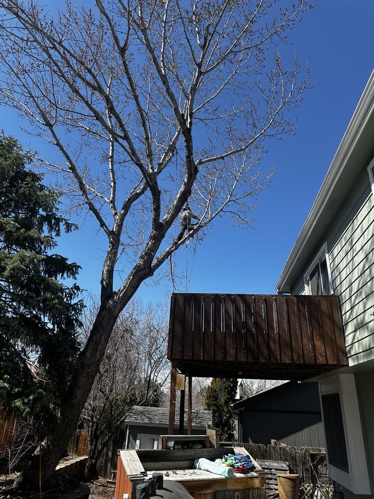 Affordable Tree and Shrub Experts - tree service in Colorado Springs, CO