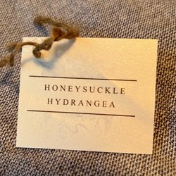 Honeysuckle Hydrangea