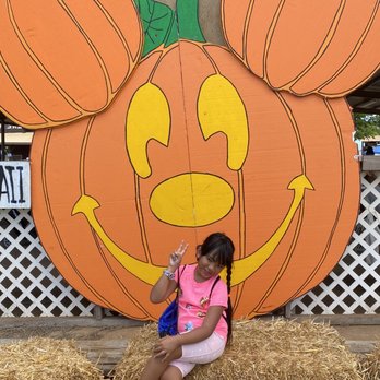 Aloun Farms - Ewa Sweet Festival....Mickey Pumpkin n Kaiti - Farms Near Me - Kapolei, Hawaii