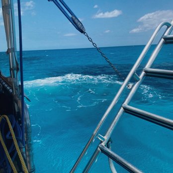 Amoray Dive Resort - Snorkeling - Resorts Near Me - Key Largo, Florida