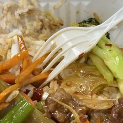 Bamboo House Chinese Restaurant - This is my Beef Szechuan Style. While eating it I found this hair in my food. Totally disgusting.