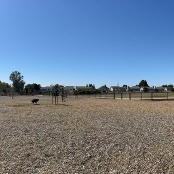 Bruzzone Dog Park - park and my kobe - Dog Parks Near Me - San Jose, California