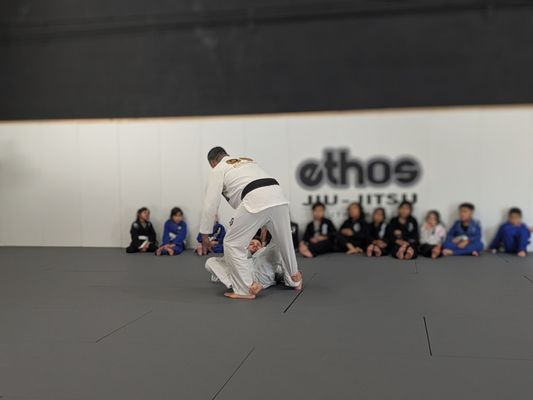 Ethos Jiu Jitsu South Bay gym photo
