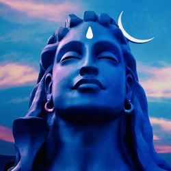 Isha Yoga Center - this is a picture from their location in india.
