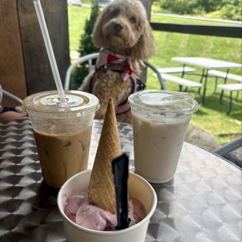 Caffeinated Elk Fudgery & Coffeehouse - Pups welcome as well - Gift Shops Near Me - Sugar Mountain, North Carolina