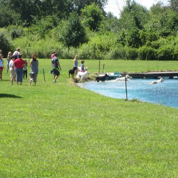 Mutt's Paradise - Cause for Paws enjoying a reunion of white GSD'S! - Pet Training Near Me - Delaware, Ohio