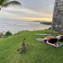 Private Yoga Kauai