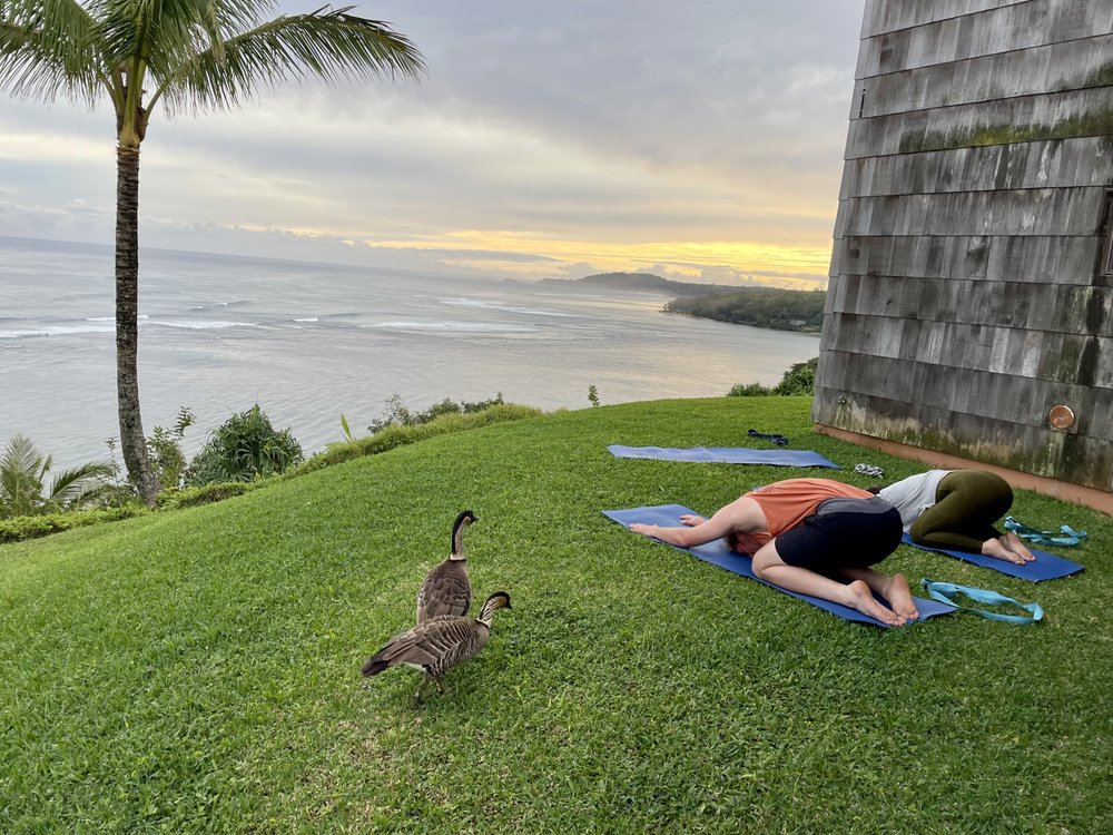 Private Yoga Kauai Logo