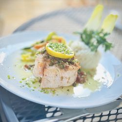 Portico - Salmon Roulade