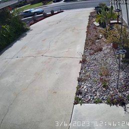 Side yard prior to job. Side yard prior to job.