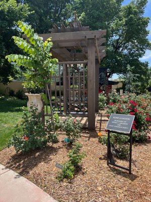 Amarillo Botanical Gardens by null