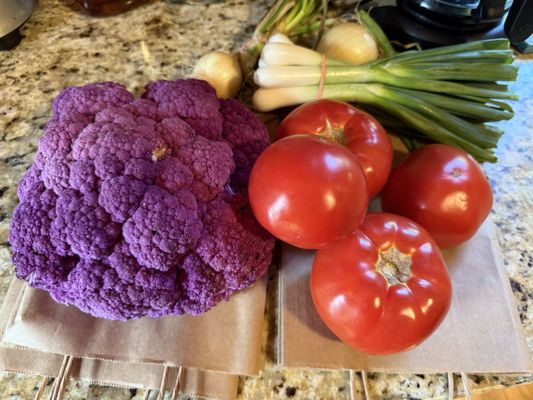 The Folk Collaborative by null