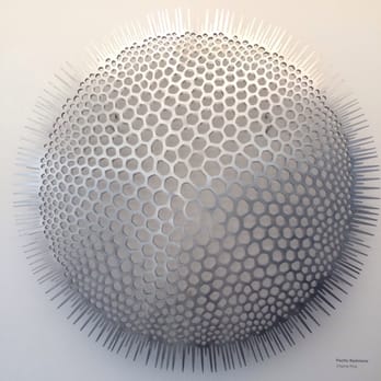 Cable Bay Vineyards - Stunning art work - Wineries Near Me - Oneroa, AUK