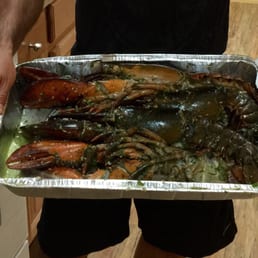 Seasoned whole lobsters courtesy of Dimas. I only had to throw them on the grill for friends to enjoy. Delicious!!! Seasoned whole lobsters courtesy of Dimas. I only had to throw them on the grill for friends to enjoy. Delicious!!!