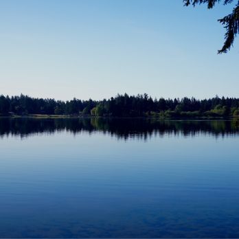 Wanschers Park - Hicks Lake - Parks Near Me - Lacey, Washington Wanschers Park - Hicks Lake - Parks Near Me - Lacey, Washington