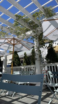 Lingering Shade Social Club by null
