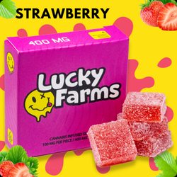 Lucky Farms - Riverside